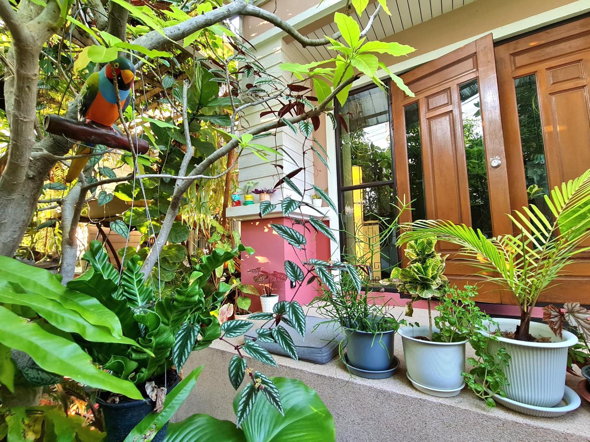 Bed And Terrace Guesthouse Chiang Mai Rom bilde